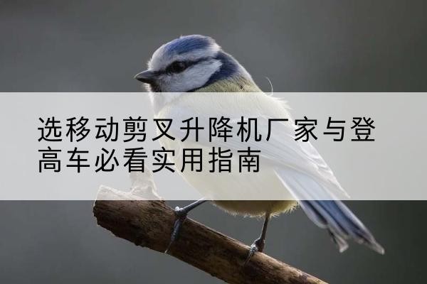 翼城电动升降机厂家-选移动剪叉升降机厂家与登高车必看实用指南
