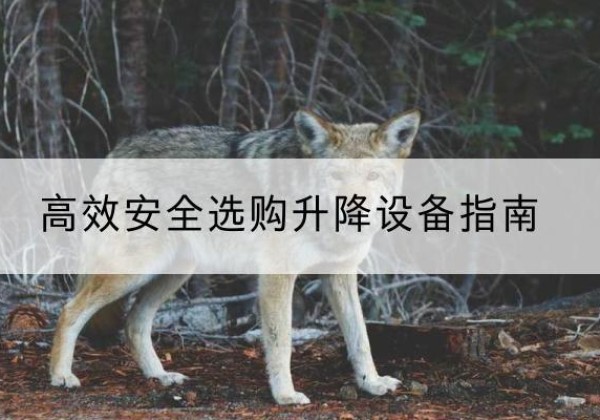 翼城升降货梯厂家推荐-*安全选购升降设备指南